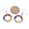 Natural Mixed Gemstone Round Beaded Dangle Earrings EJEW-JE05456-02-3