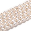 Natural Cultured Freshwater Pearl Beads Strands PEAR-L033-69-1