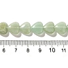 Natural Aventurine Beads Strands G-R190-10mm-48B-5