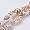 Natural Sea Shell Beads Strands BSHE-K012-07-1