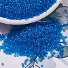 MIYUKI Delica Beads SEED-MY11-DB0787-1