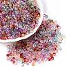 Baking Paint Electroplate Transparent Glass Seed Beads X-SEED-N006-07-1