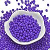 Opaque Colours Glass Seed Beads SEED-C001-02B-06-2