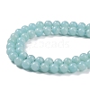 Grade A Natural Amazonite Beads Strands G-C046-01B-4