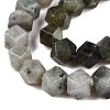 Natural Labradorite Beads Strands G-T138-37-3