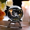 Inner Carving Glass Crystal Ball Diaplay Decoration PW-WG62740-01-1