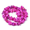 Natural Trochid Shell/Trochus Shell Beads Strands SHEL-S258-080-B04-2