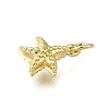 Brass Charms ZIRC-I070-085G-2