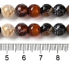 Dyed & Heated Natural Fire Crackle Agate Beads Strands G-P539-B01-08-5