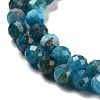 Natural Apatite Beads Strands G-C127-A01-03-4