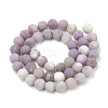 Natural Lepidolite/Purple Mica Stone Beads Strands G-T106-294-3