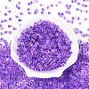 Transparent Inside Colours Glass Seed Beads SEED-T007-11B-1
