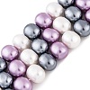 Shell Pearl Beads Strands BSHE-L035-E05-2