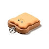Opaque Resin Pendants LS-X-RESI-G043-D01-4