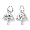 Rack Plating Brass Micro Pave Clear Cubic Zirconia Charms KK-D097-05P-1