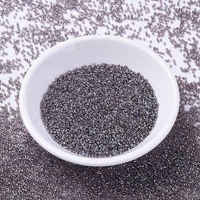 MIYUKI Delica Beads X-SEED-J020-DB1224-1