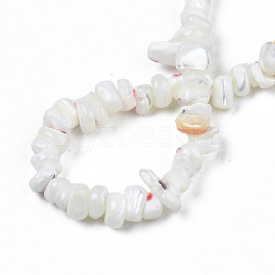 Natural Freshwater Shell Beads Strands SHEL-N003-23-1