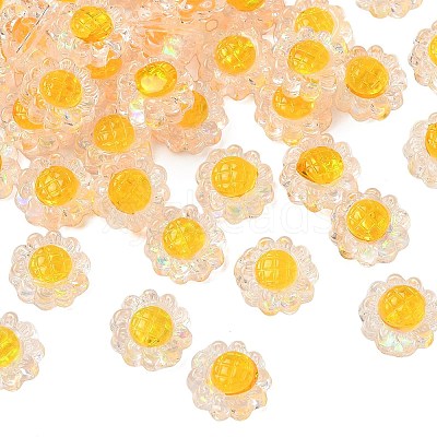 Translucent Resin Beads RESI-D312-04C-1