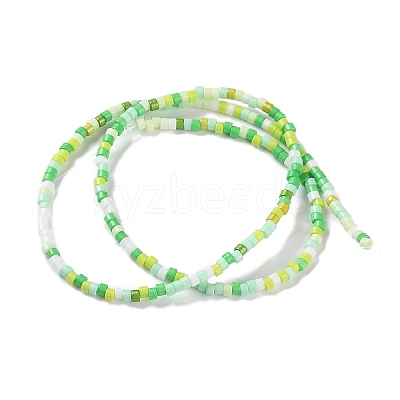 Handmade Lampwork Beads Strands LAMP-L078-008-1