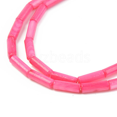 Natural Freshwater Shell Beads Strand SHEL-T017-40B-1
