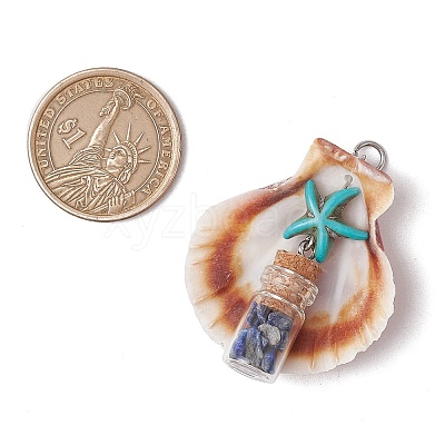 14Pcs 14 Styles Natural Scallop Shell Beads with Glass Jar Glass Bottles Stone Pendants PALLOY-JF03564-1
