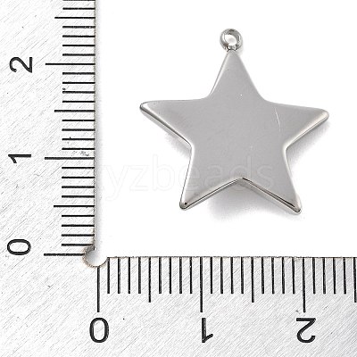 304 Stainless Steel Pendants STAS-Z121-02P-1