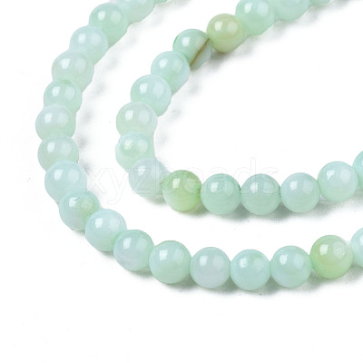 Natural Freshwater Shell Beads Strands BSHE-T009A-01D-1