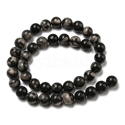 Natural Black Fossil Coral Beads Strands G-R494-A04-04-1