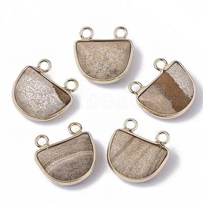 Natural Picture Jasper Semi Circle Pendants G-S359-011E-1