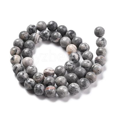 Natural Map Stone/Picasso Stone/Picasso Jasper Beads Strands G-G047-8mm-1