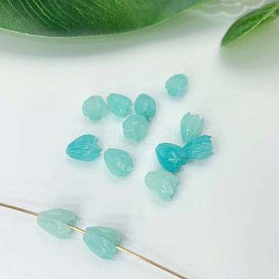 Epoxy Resin Beads LS-RESI-WH0034-46G-1