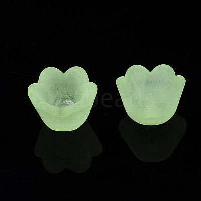 Transparent Acrylic Beads X-FACR-N005-001-1