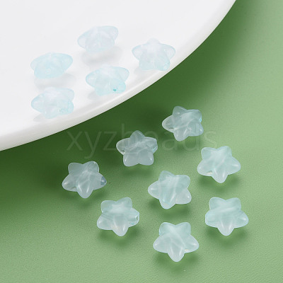 Transparent Acrylic Beads MACR-S373-26E-07-1