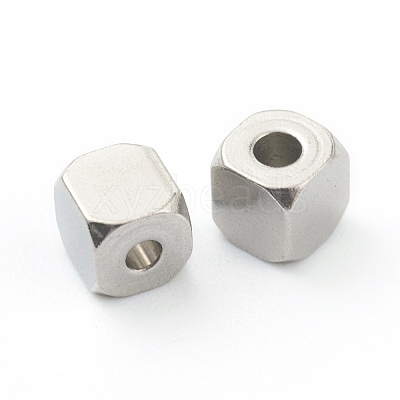 Non-Tarnish 304 Stainless Steel Beads STAS-H160-02C-P-1
