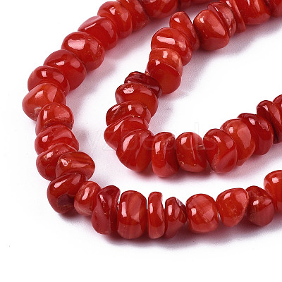 Natural Freshwater Shell Beads Strands X-SHEL-S278-041-1
