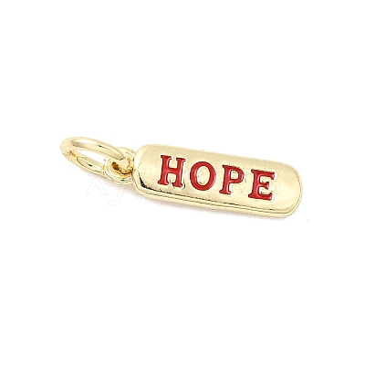 Brass Enamel Charms KK-P338-01G-E02-1