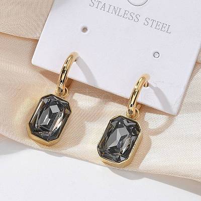 Ion Plating(IP) 304 Stainless Steel Hoop Earring EJEW-C017-06G-02-1