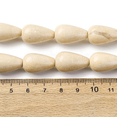 Natural Fossil Beads Strands G-F808-D01-02-1