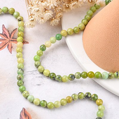 Natural Serpentine Beads Strands G-N166-6-1