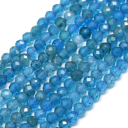 Natural Apatite Beads Strands G-G106-C06-01-1