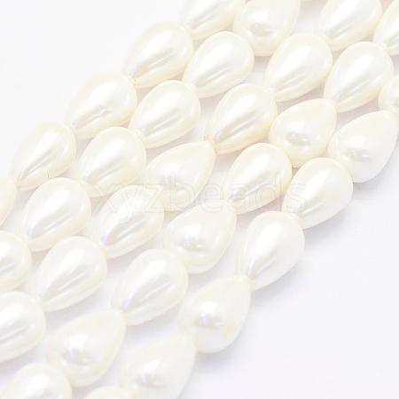 Shell Pearl Beads Strands BSHE-P024-02-1