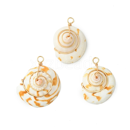 Real 18K Gold Plated Copper Wire Wrapped Natural Shiva Eye Shell Pendants PALLOY-TA00185-1