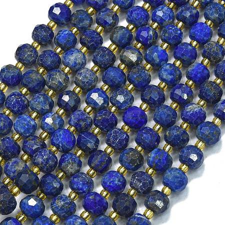 Dyed Natural Lapis Lazuli Beads Strands G-K389-E63-01-1