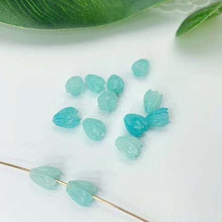 Epoxy Resin Beads LS-RESI-WH0034-46G-1