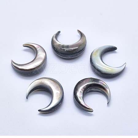 Natural Black Lip Shell Cabochons SSHEL-P015-80B-20mm-1