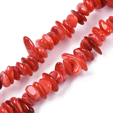 Natural Freshwater Shell Beads Strands SHEL-S278-071A-1