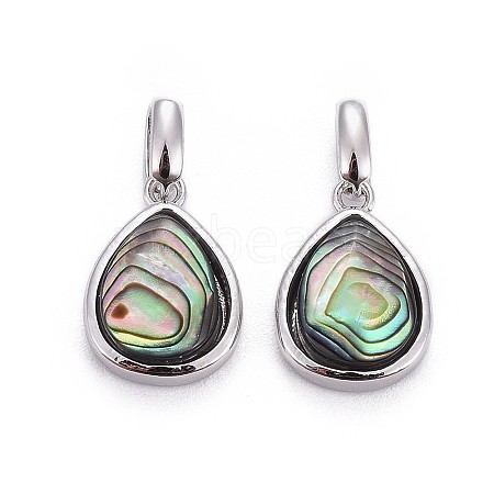 Natural Abalone Shell/Paua ShellCharms X-BSHE-F011-03B-P-1