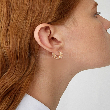 1 Pair Brass Hoop Earrings for Women EJEW-LP0003-70G-1