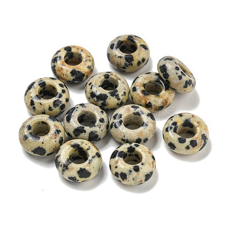 Natural Dalmatian Jasper Beads G-Q173-03A-24-1