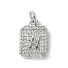 Rack Plating Brass Micro Pave Clear Cubic Zirconia Charms KK-G501-01W-P-1